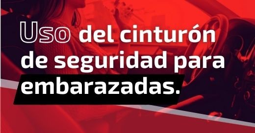 Adaptador cinturón embarazada de segunda mano por 10 EUR en Madrid