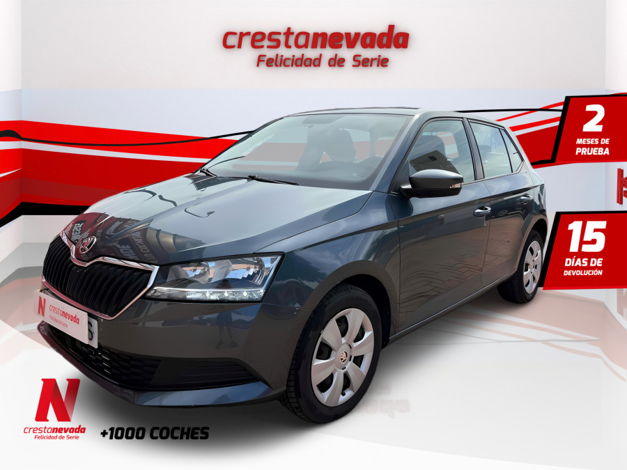 Imagen de Skoda Fabia