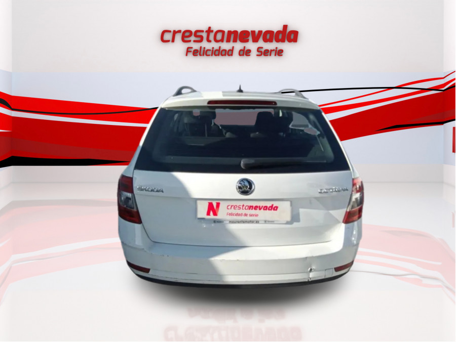 Imagen de Skoda Octavia