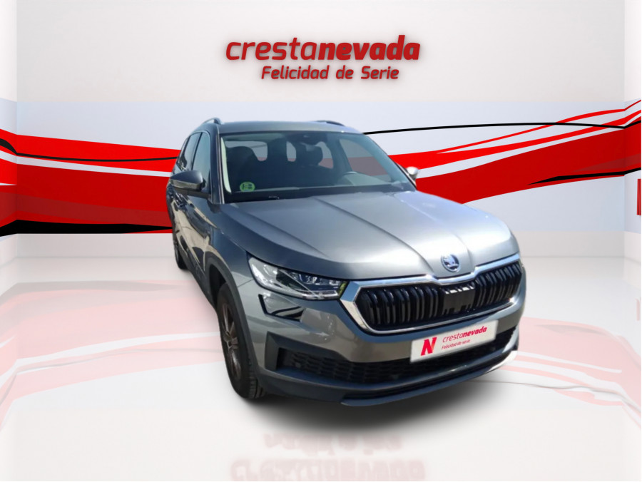 Imagen de Skoda Kodiaq