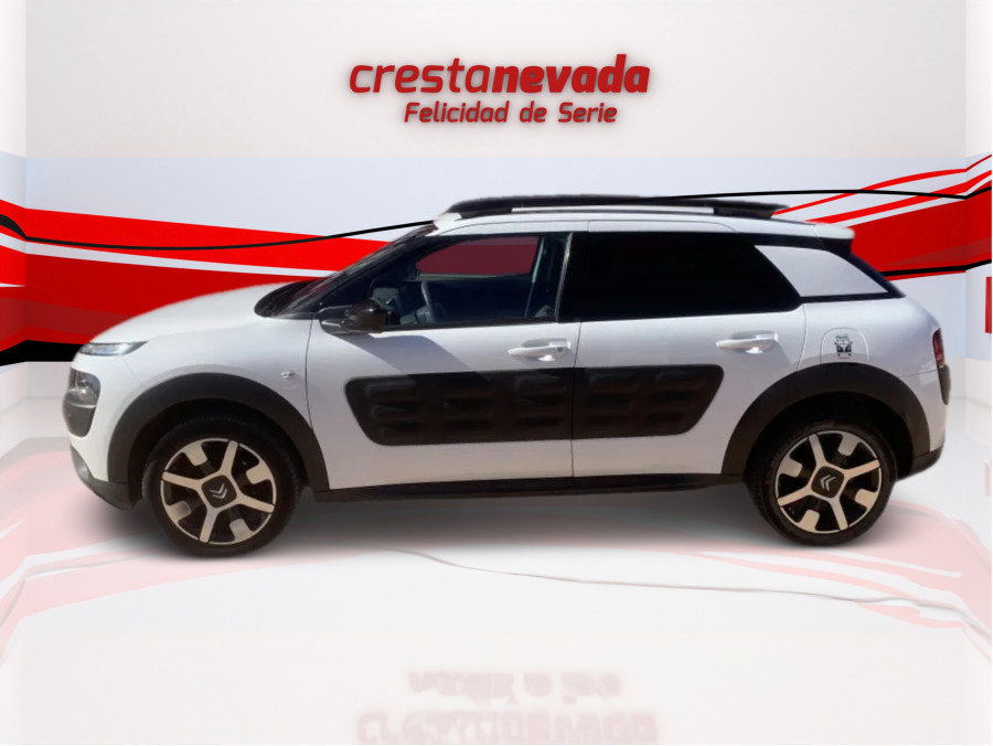 Imagen de CITROEN C4 Cactus