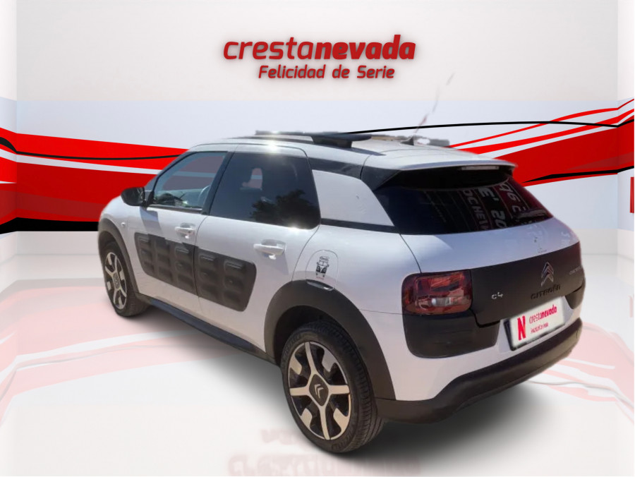 Imagen de CITROEN C4 Cactus