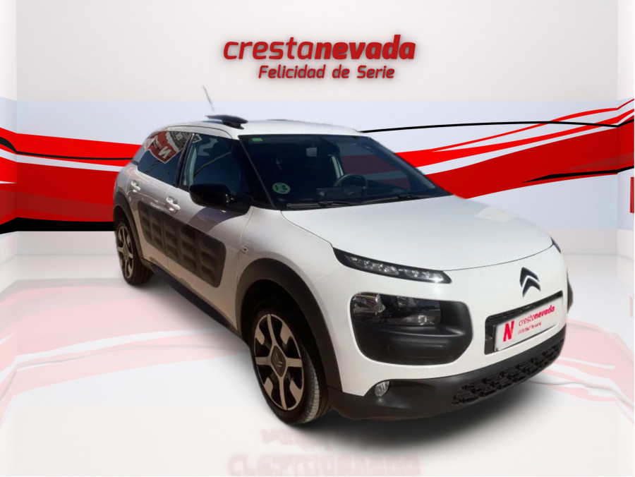 Imagen de CITROEN C4 Cactus