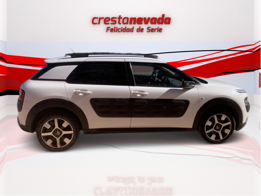 Imagen de CITROEN C4 Cactus