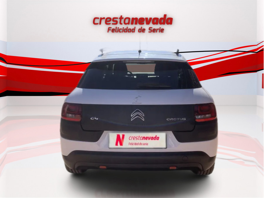 Imagen de CITROEN C4 Cactus