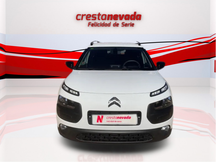 Imagen de CITROEN C4 Cactus