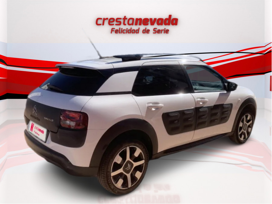 Imagen de CITROEN C4 Cactus