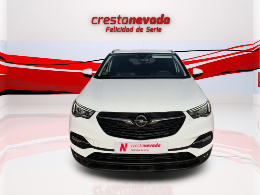 Imagen de Opel Grandland X