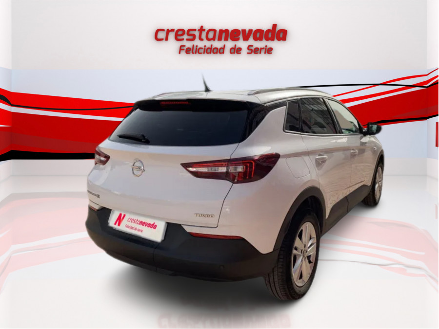 Imagen de Opel Grandland X