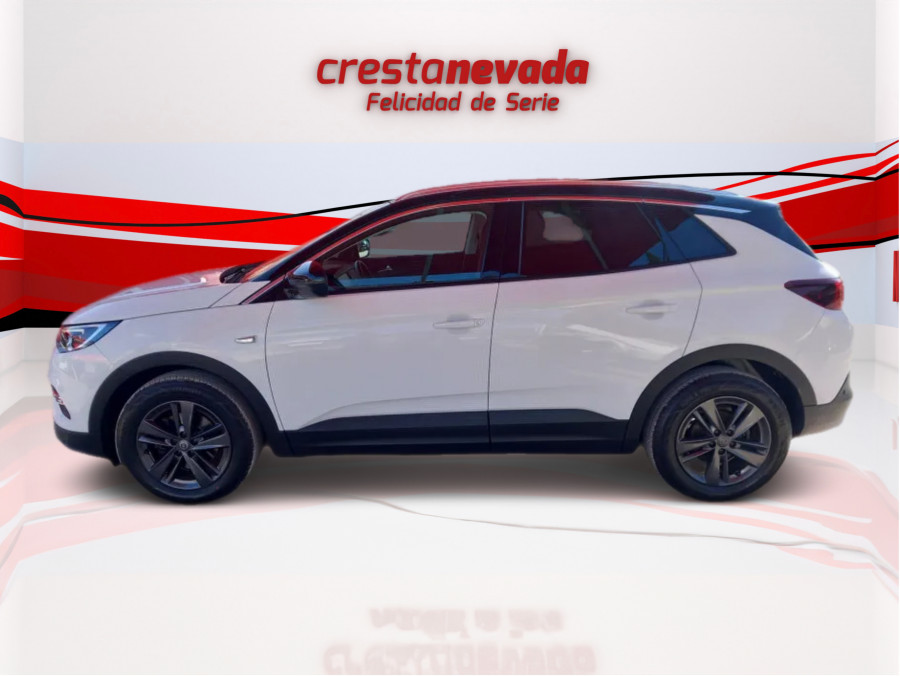 Imagen de Opel Grandland X