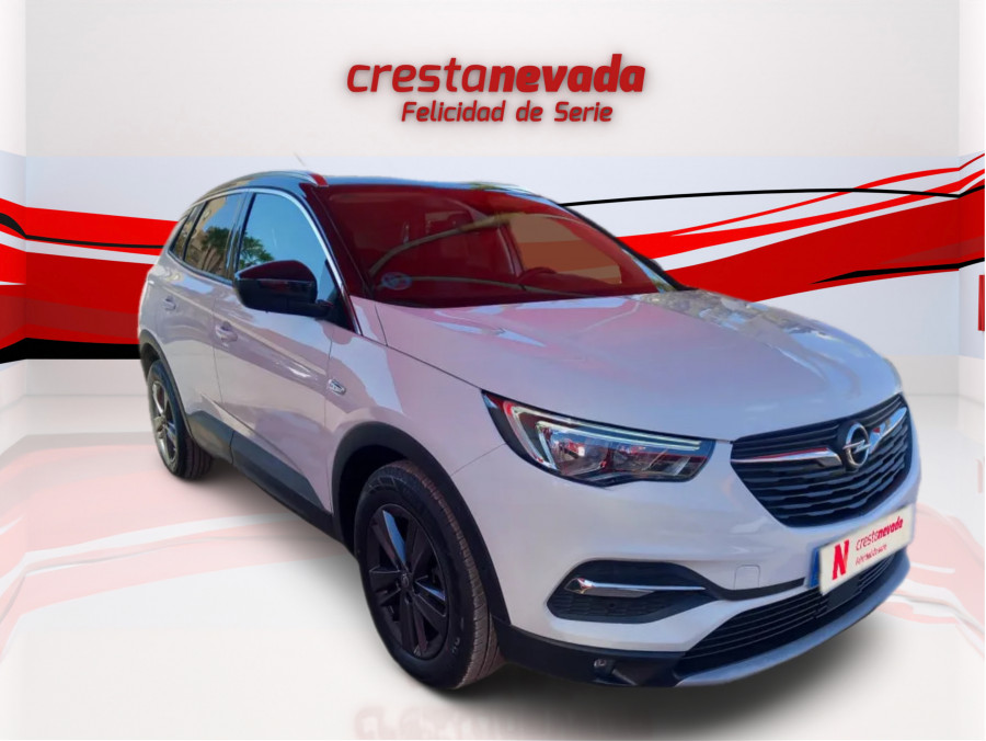 Imagen de Opel Grandland X