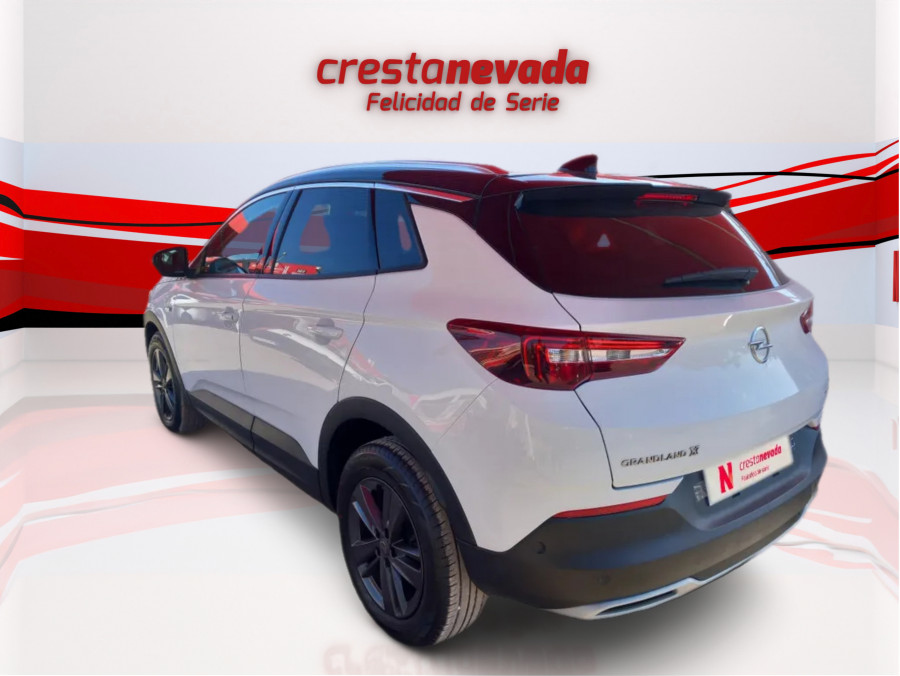 Imagen de Opel Grandland X