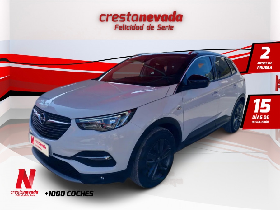 Imagen de Opel Grandland X