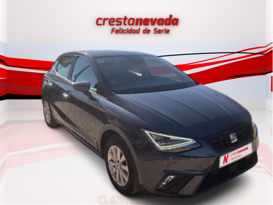 Imagen de SEAT Ibiza