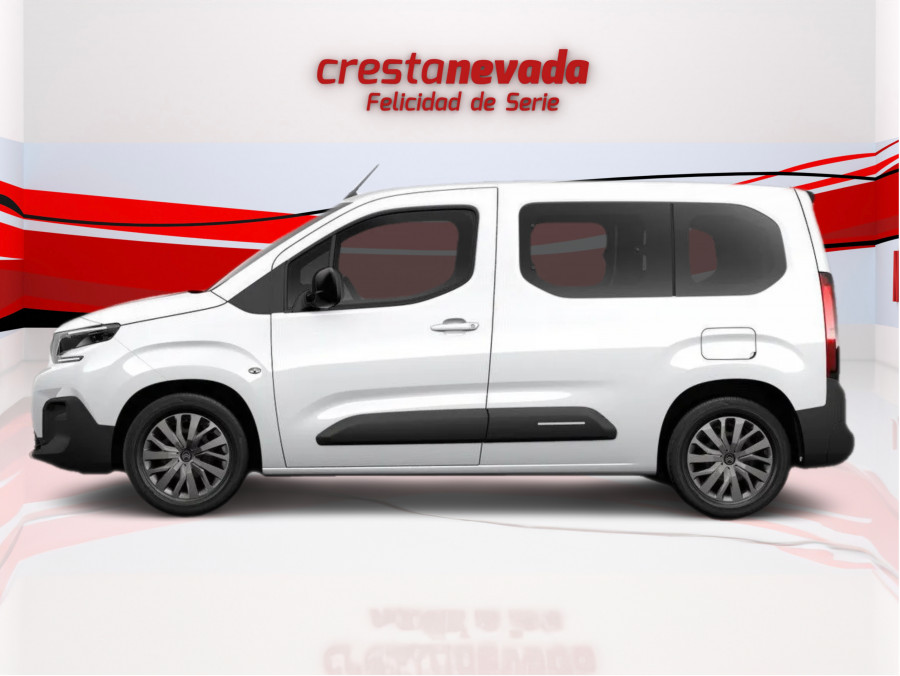 Imagen de Citroën Berlingo