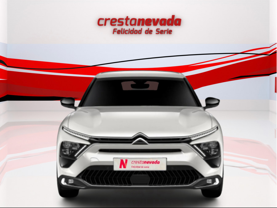 Imagen de Citroën C5 X