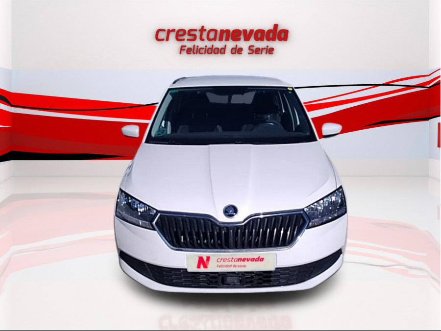 Imagen de Skoda Fabia