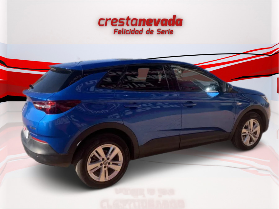 Imagen de Opel Grandland X