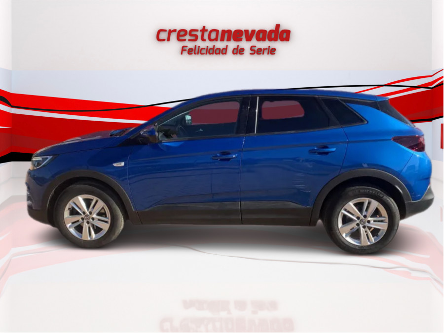 Imagen de Opel Grandland X