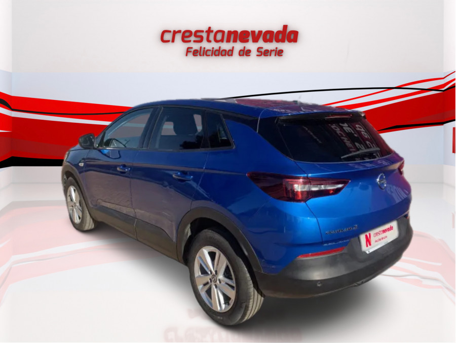 Imagen de Opel Grandland X