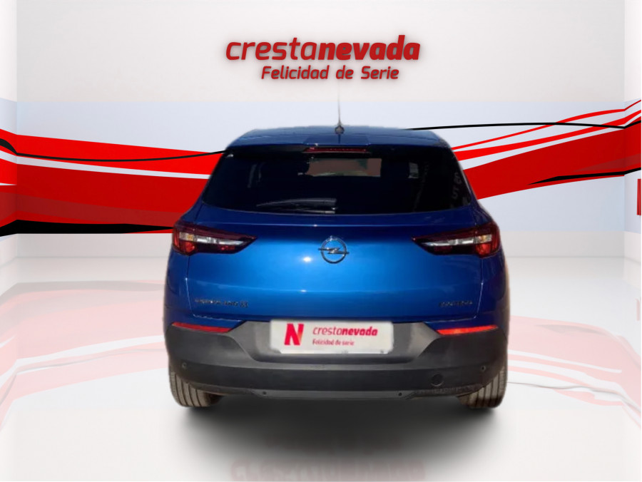 Imagen de Opel Grandland X