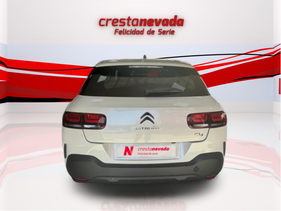 Imagen de CITROEN C4 Cactus