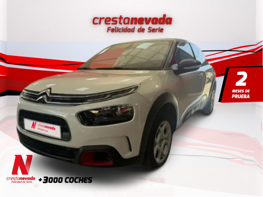 Imagen de CITROEN C4 Cactus