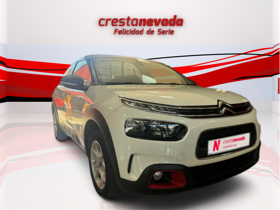 Imagen de CITROEN C4 Cactus