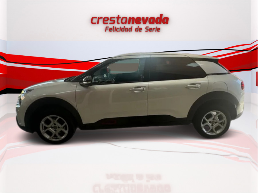 Imagen de CITROEN C4 Cactus