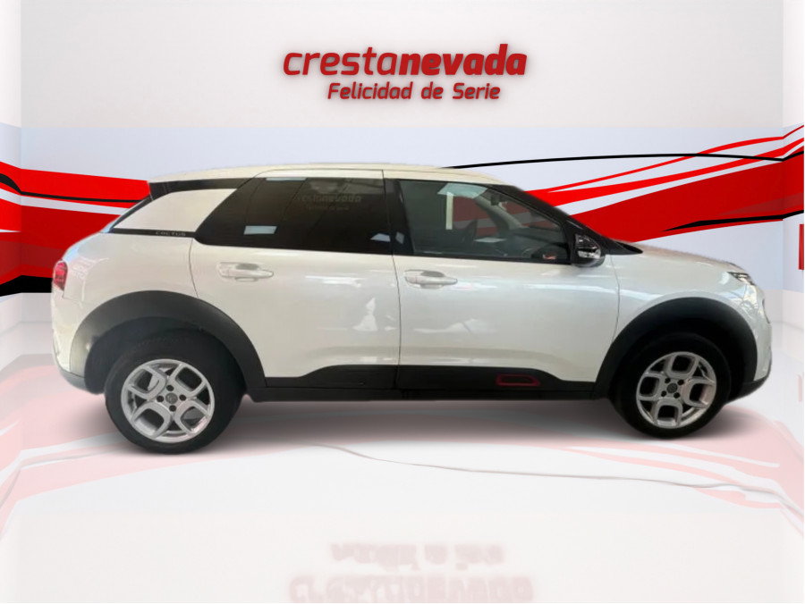 Imagen de CITROEN C4 Cactus