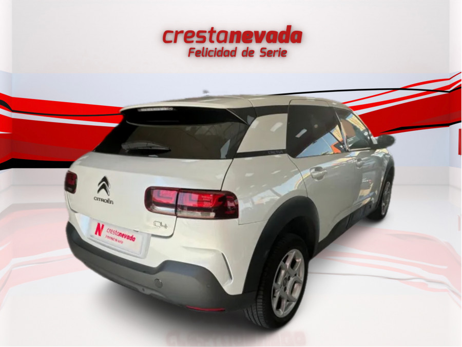 Imagen de CITROEN C4 Cactus