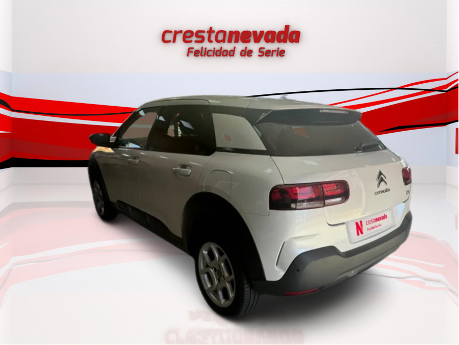 Imagen de CITROEN C4 Cactus