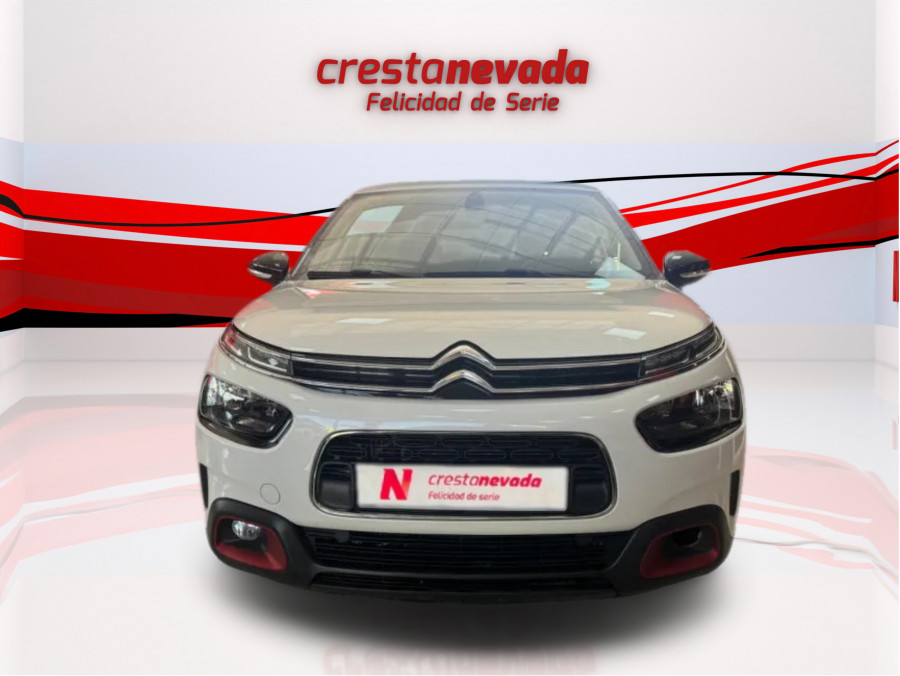 Imagen de CITROEN C4 Cactus