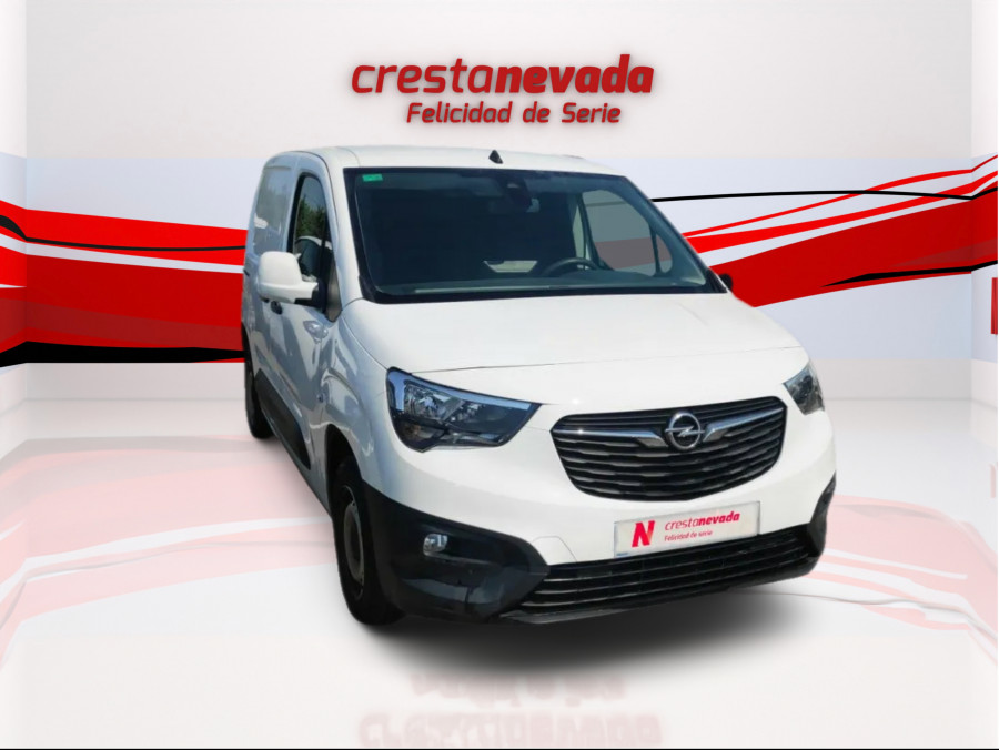 Imagen de Opel Combo