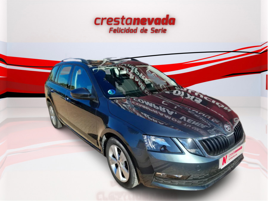 Imagen de Skoda Octavia