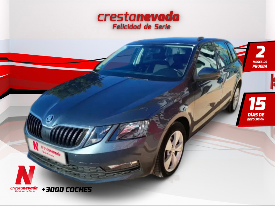 Imagen de Skoda Octavia