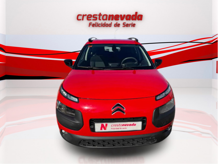 Imagen de CITROEN C4 Cactus