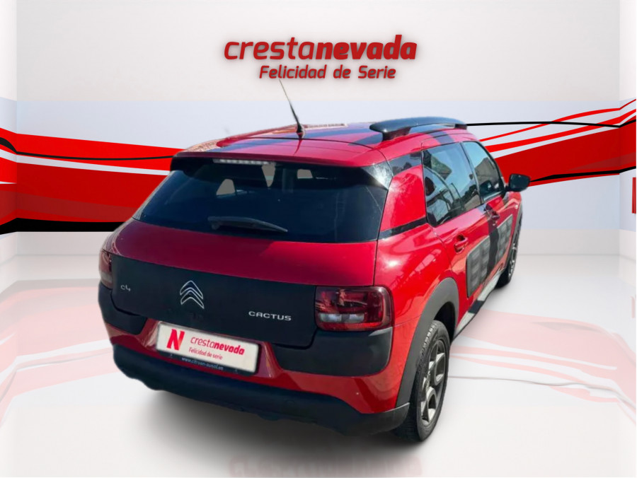 Imagen de CITROEN C4 Cactus