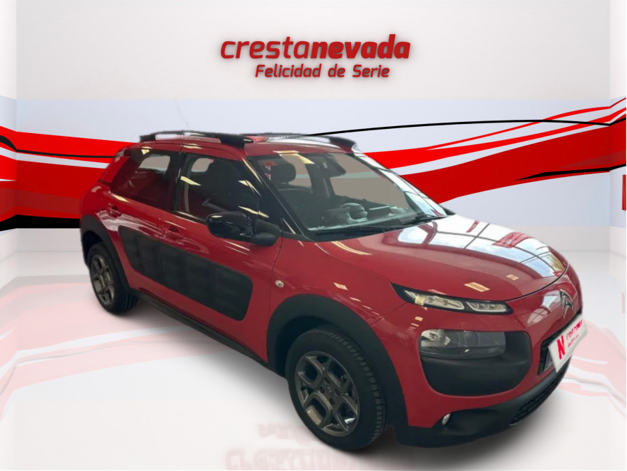 Imagen de CITROEN C4 Cactus