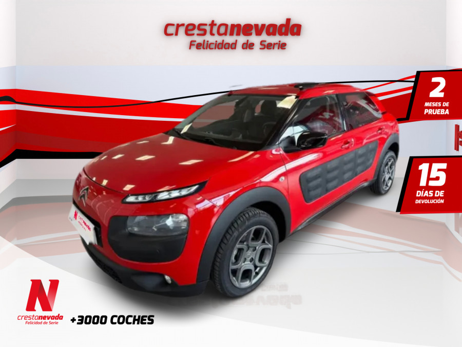 Imagen de CITROEN C4 Cactus