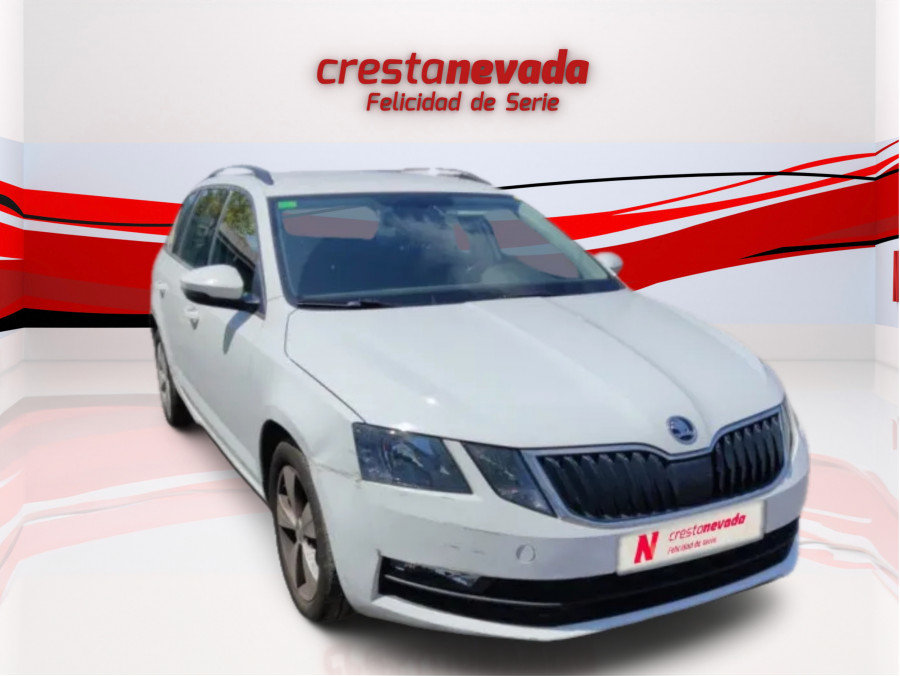 Imagen de Skoda Octavia