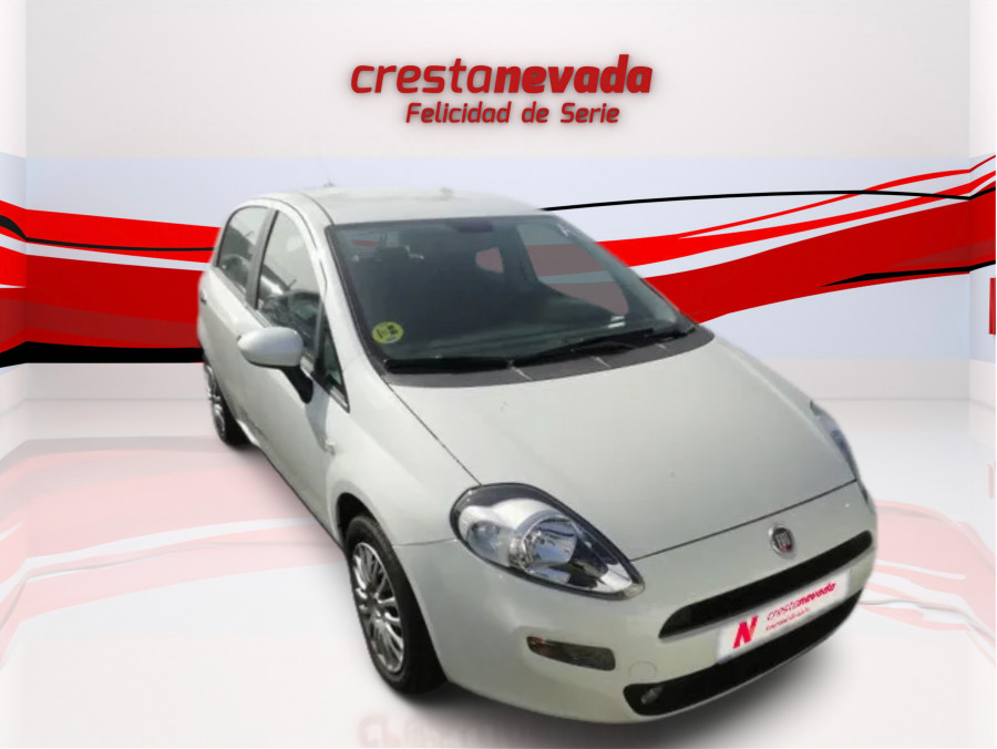 Imagen de Fiat Punto