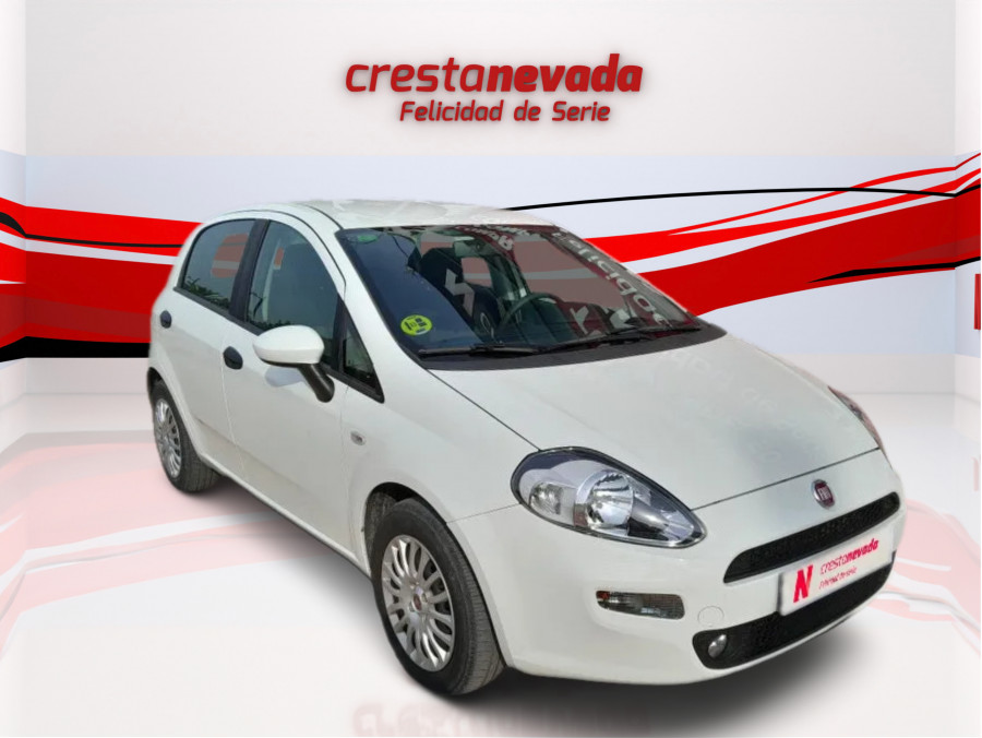 Imagen de Fiat Punto