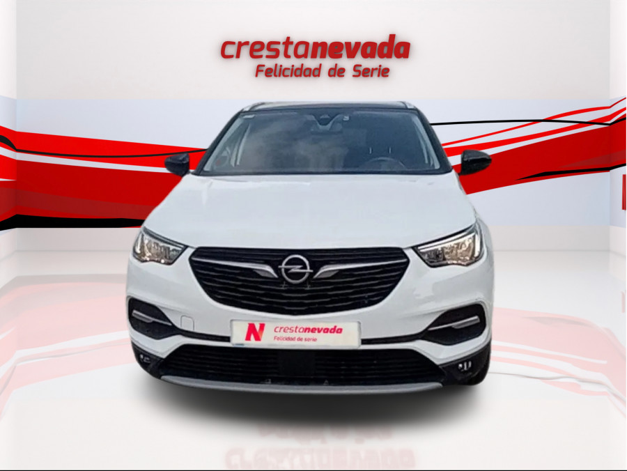 Imagen de Opel Grandland X