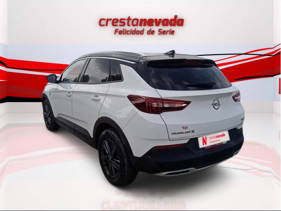 Imagen de Opel Grandland X