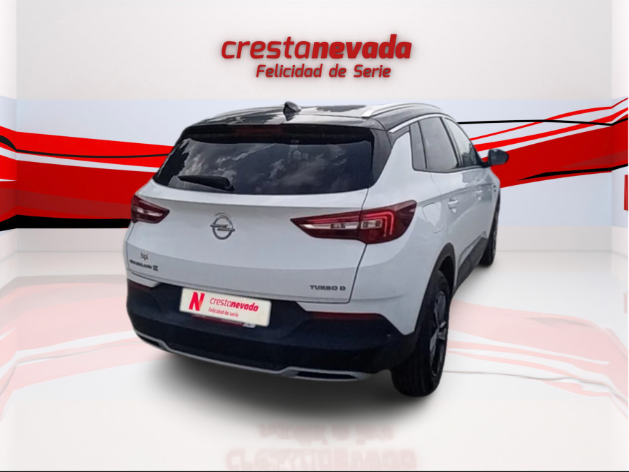 Imagen de Opel Grandland X