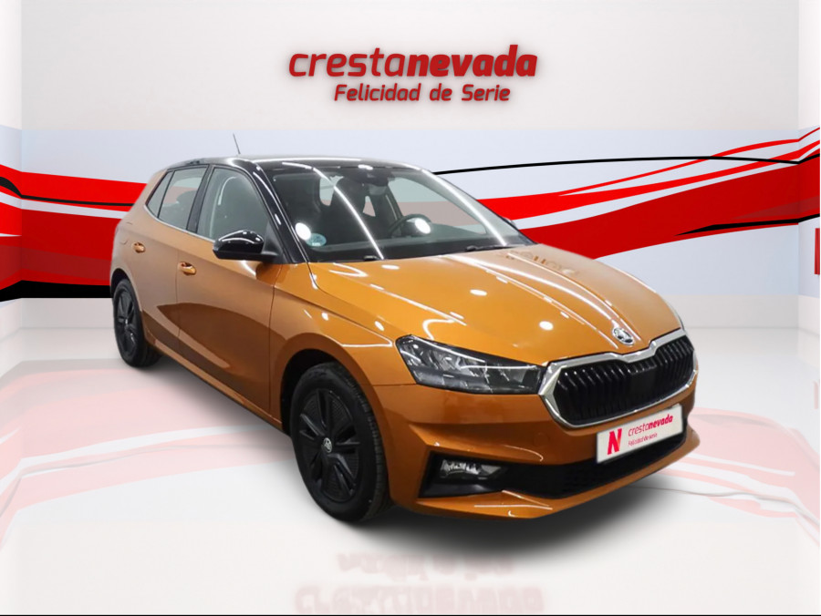 Imagen de Skoda Fabia