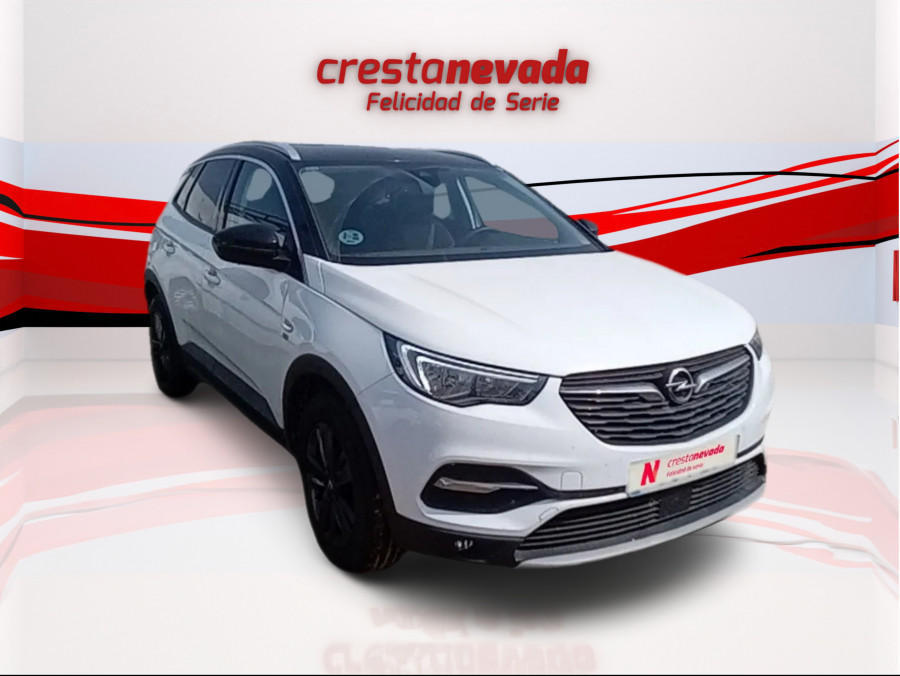 Imagen de Opel Grandland X