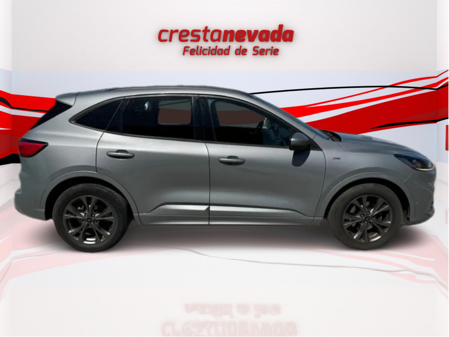 Imagen de Ford Kuga