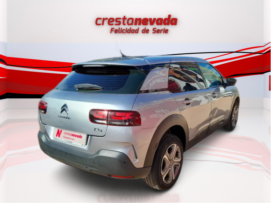 Imagen de CITROEN C4 Cactus